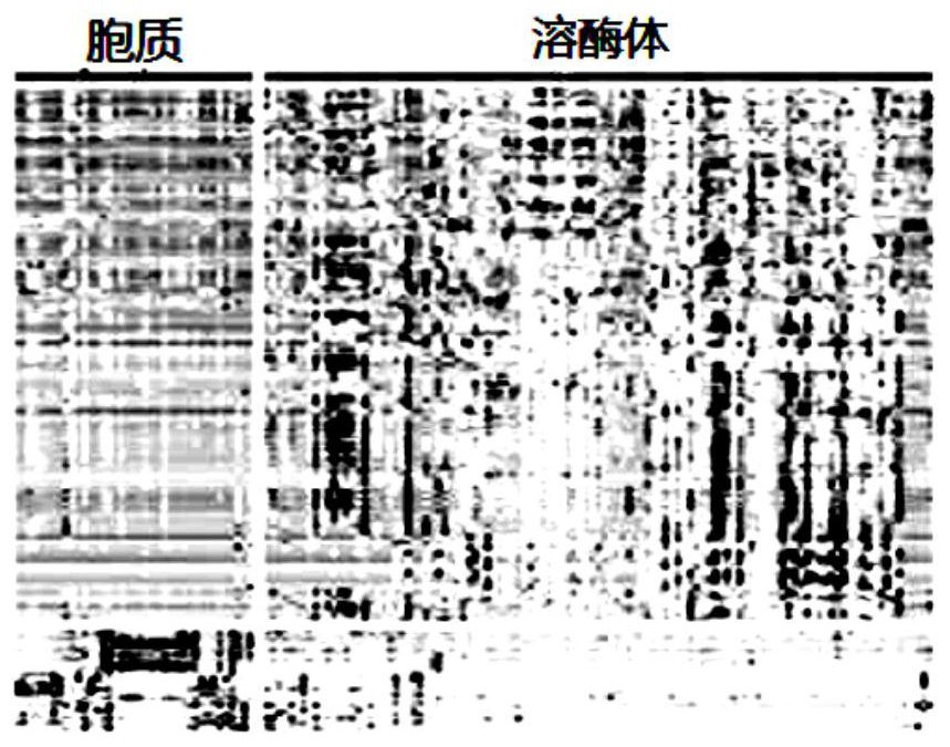 Mass spectrometric detection method and device for single organelle