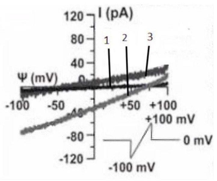 Mass spectrometric detection method and device for single organelle