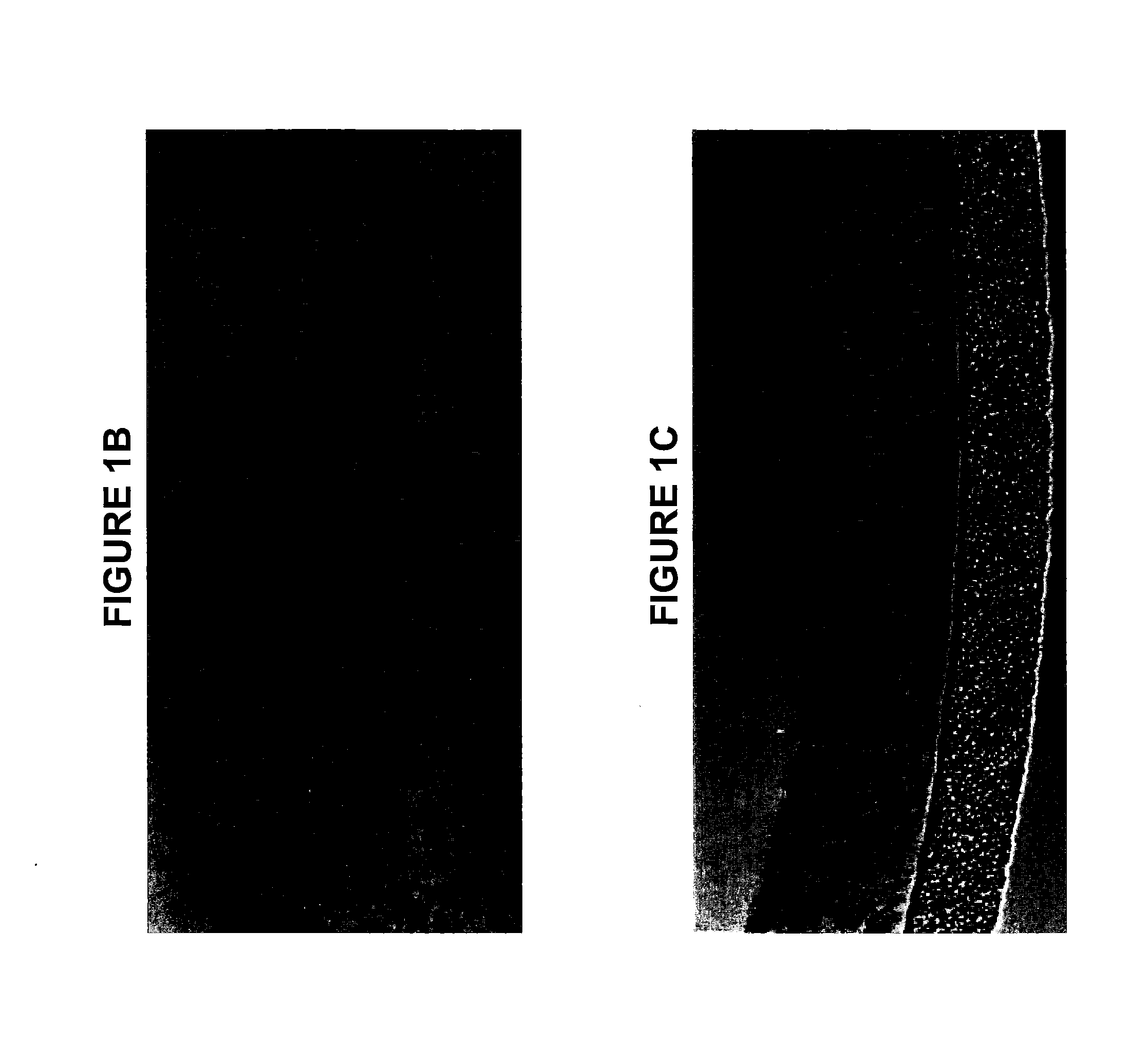 Method for Predicting Respiratory Toxicity of Compounds