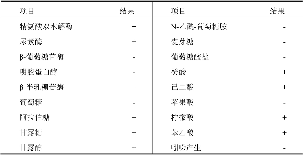 Culture medium for screening and identifying aflatoxin B1 degrading bacteria and screening and identifying method