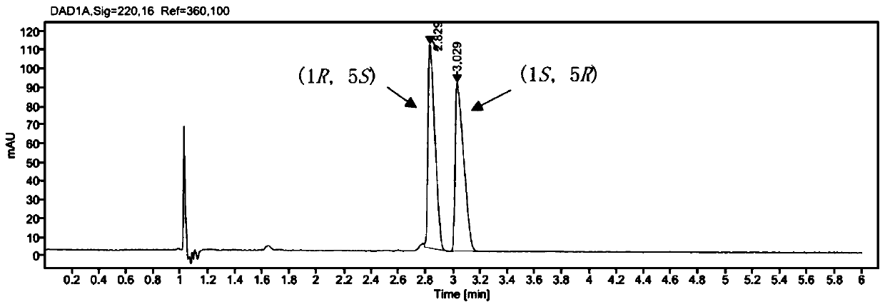 Synthesis method of enzyme-catalyzed (1S, 5R)-bicyclolactone