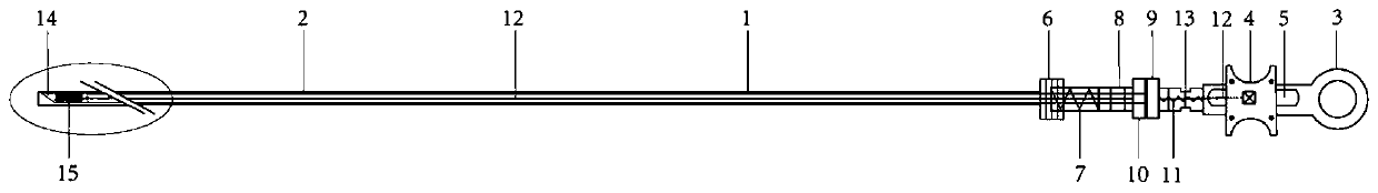 Puncture forceps holder biopsy needle used beneath bronchoscope