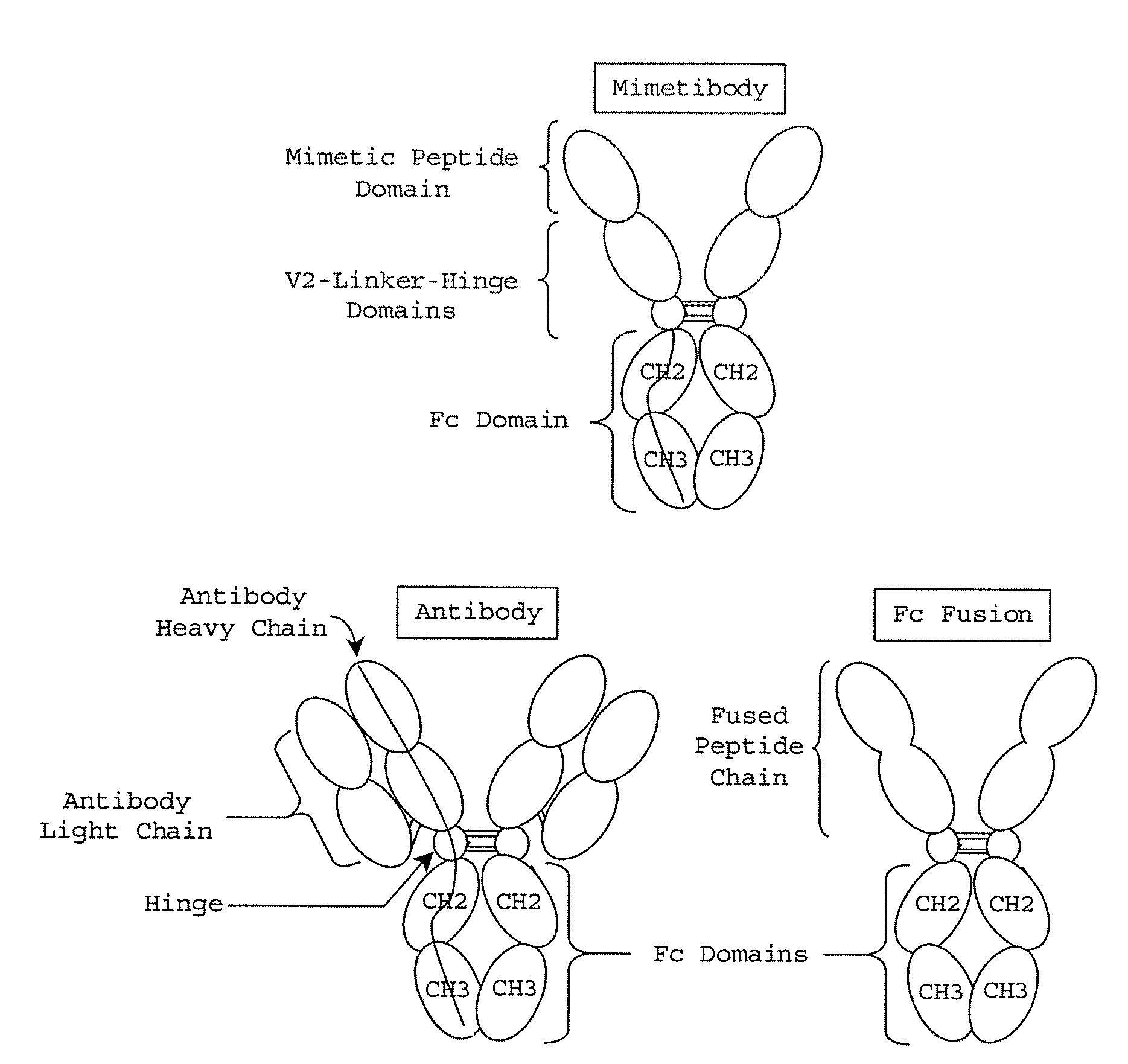 Intranasal Administration of Active Agents to the Central Nervous System