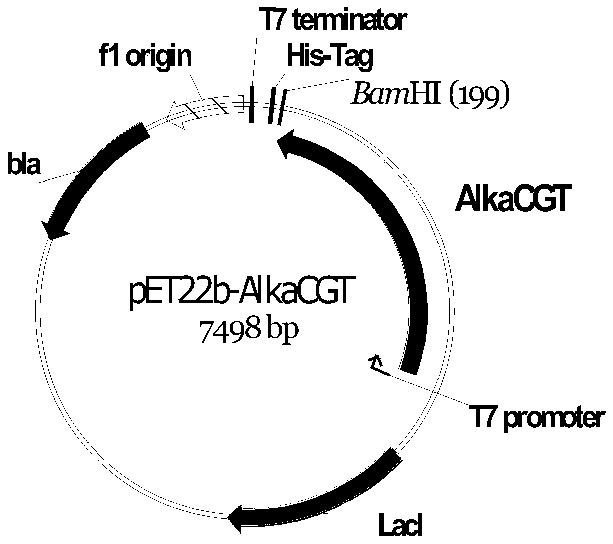 Application of alkaline cyclodextrin glucosyltransferase in production of alpha-glucosylhesperidin