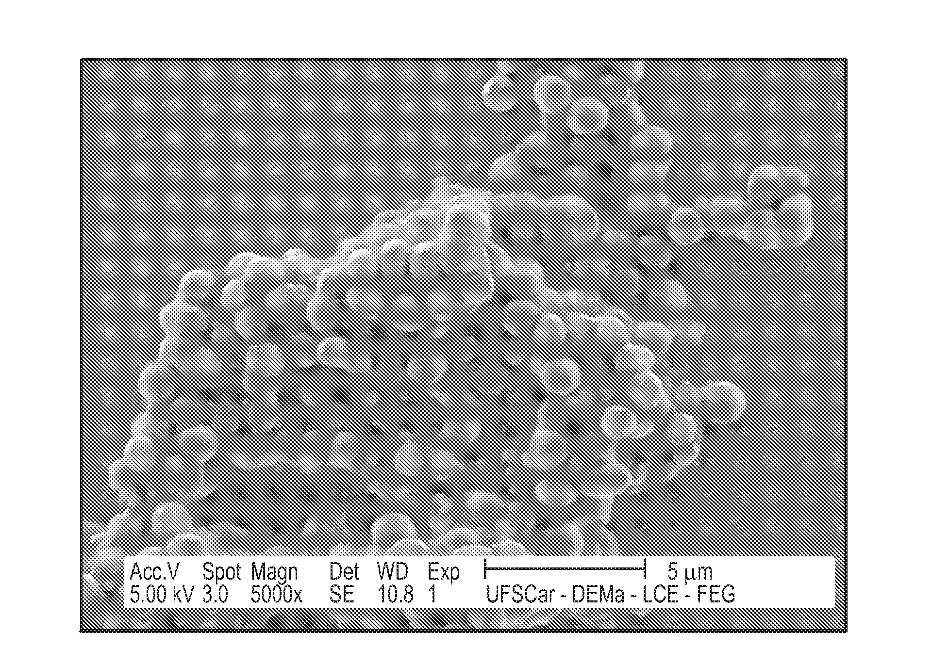 Compositions of jasmonate compounds