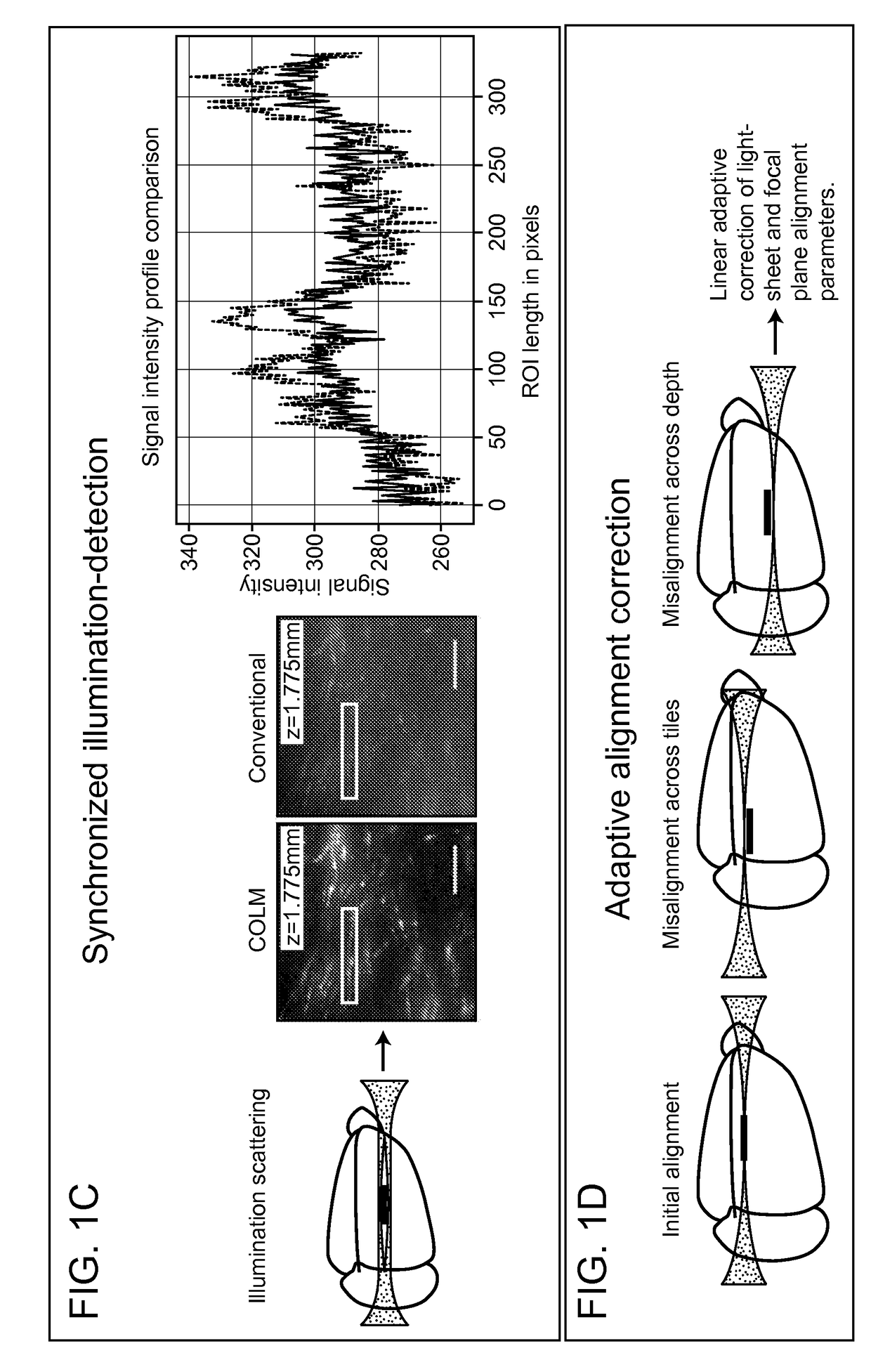 Methods and Devices for Imaging Large Intact Tissue Samples