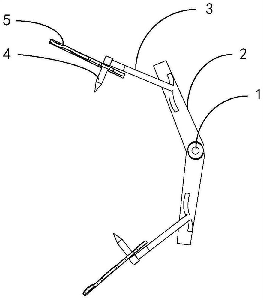 Supporting device