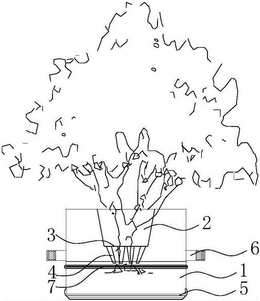 Planting container capable of allowing plant to be planted at any angle and plant planting system