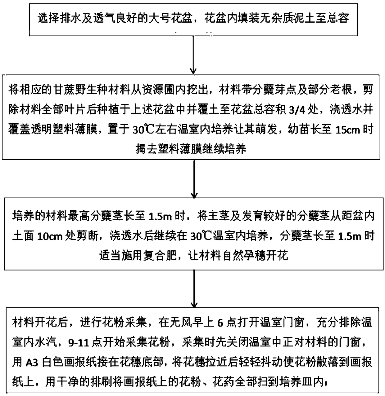 Method for increasing collection amount of wild sugarcane pollen