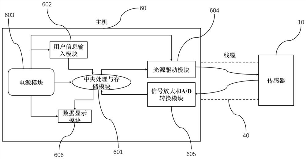 Brain blood oxygen saturation detection system and method free of scalp blood flow interference