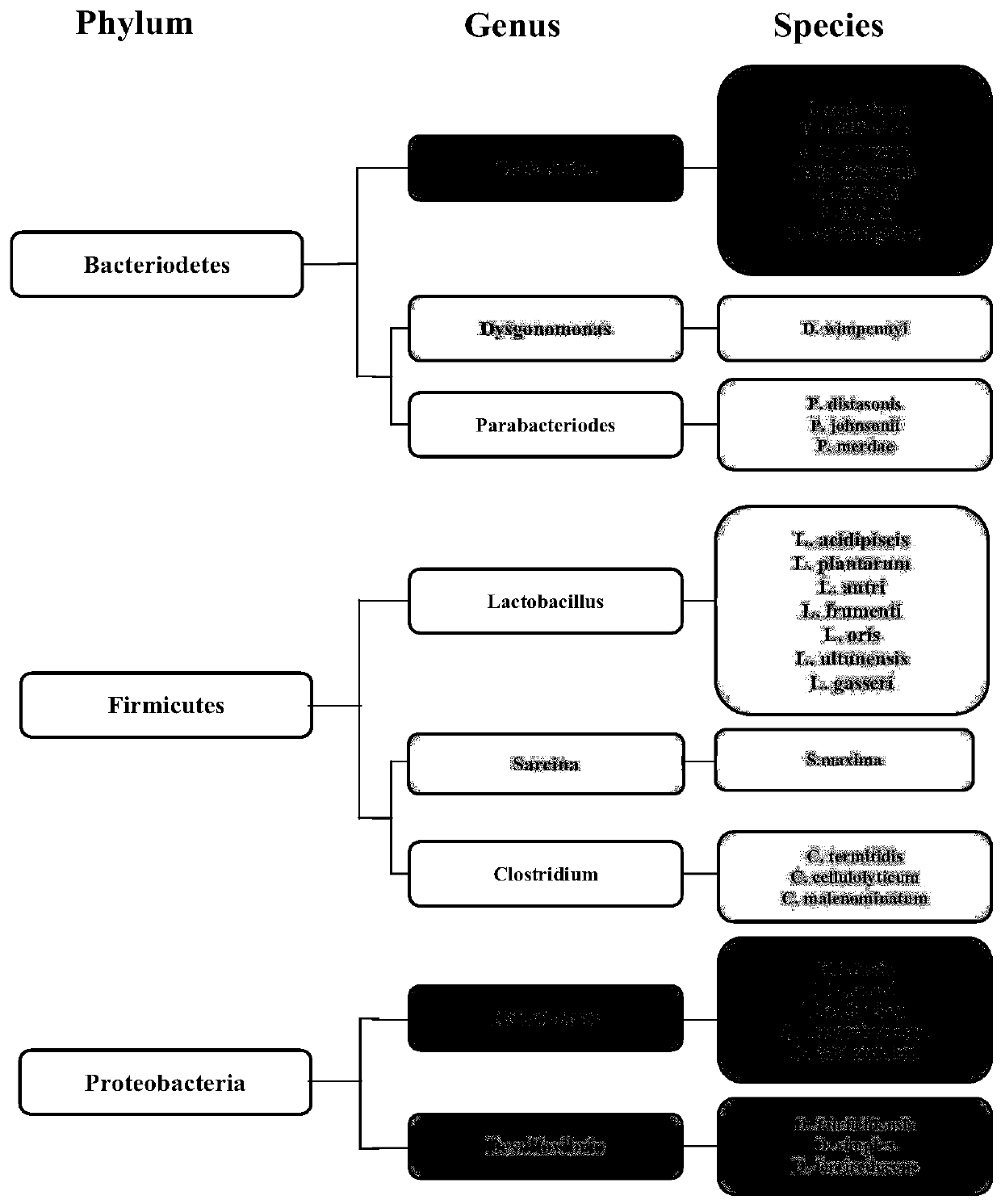 Application of lactobacillus acidipiscis for preparing medicine capable of preventing or treating autoimmune diseases