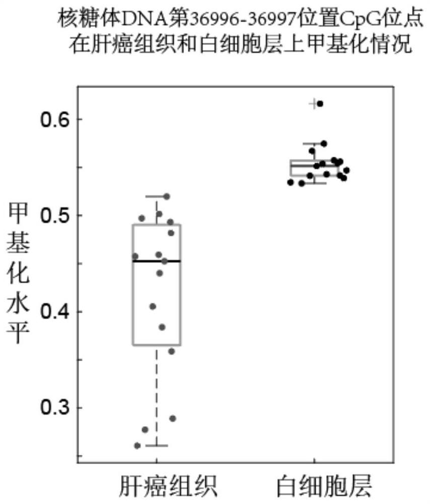 DNA methylation markers and their application in the diagnosis of early liver cancer by peripheral blood