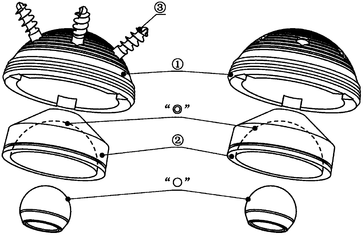 Double-acting full hip acetabular prosthesis with clasp