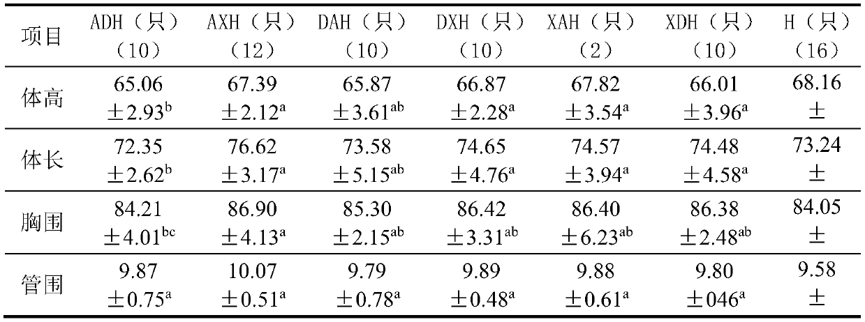 Ternary hybrid mutton sheep production method