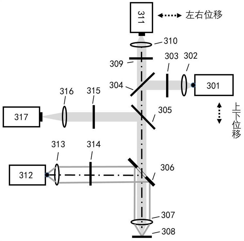 Wafer defect detection system and method