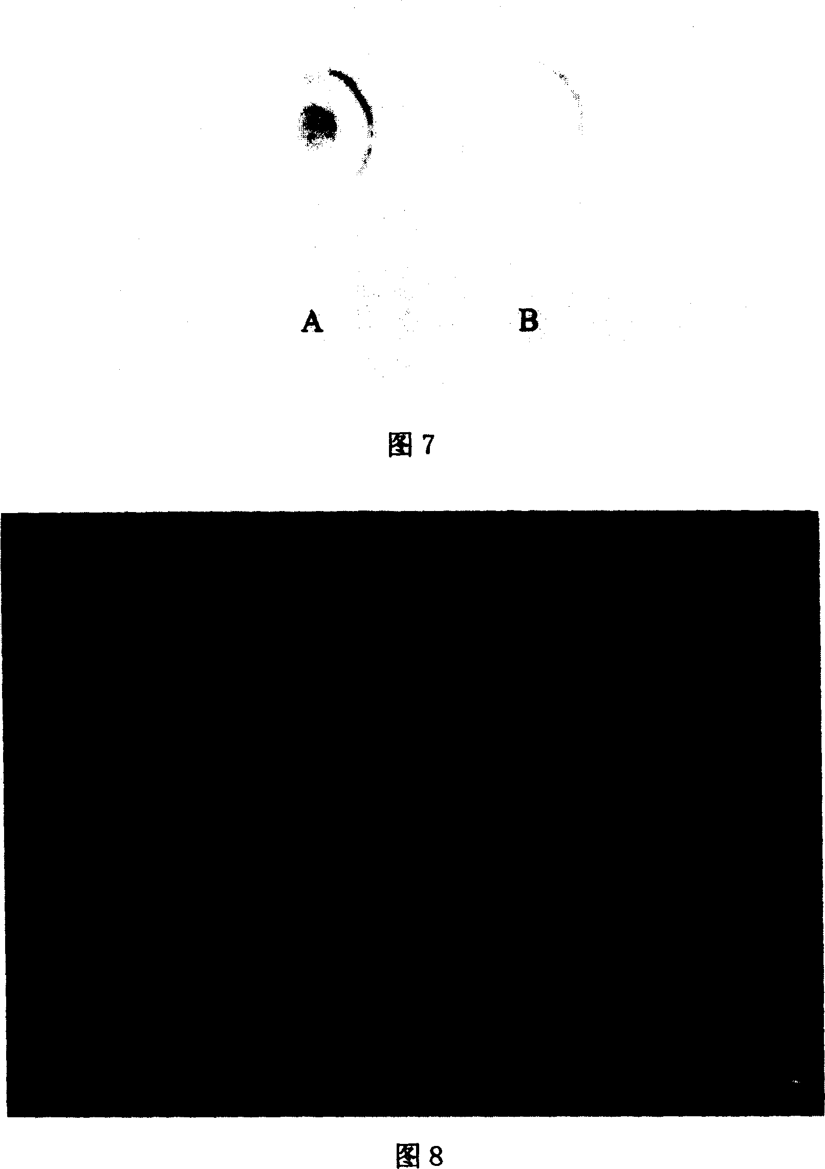 Monoclonal antibody of anti lymphocyst virus of and preparation method