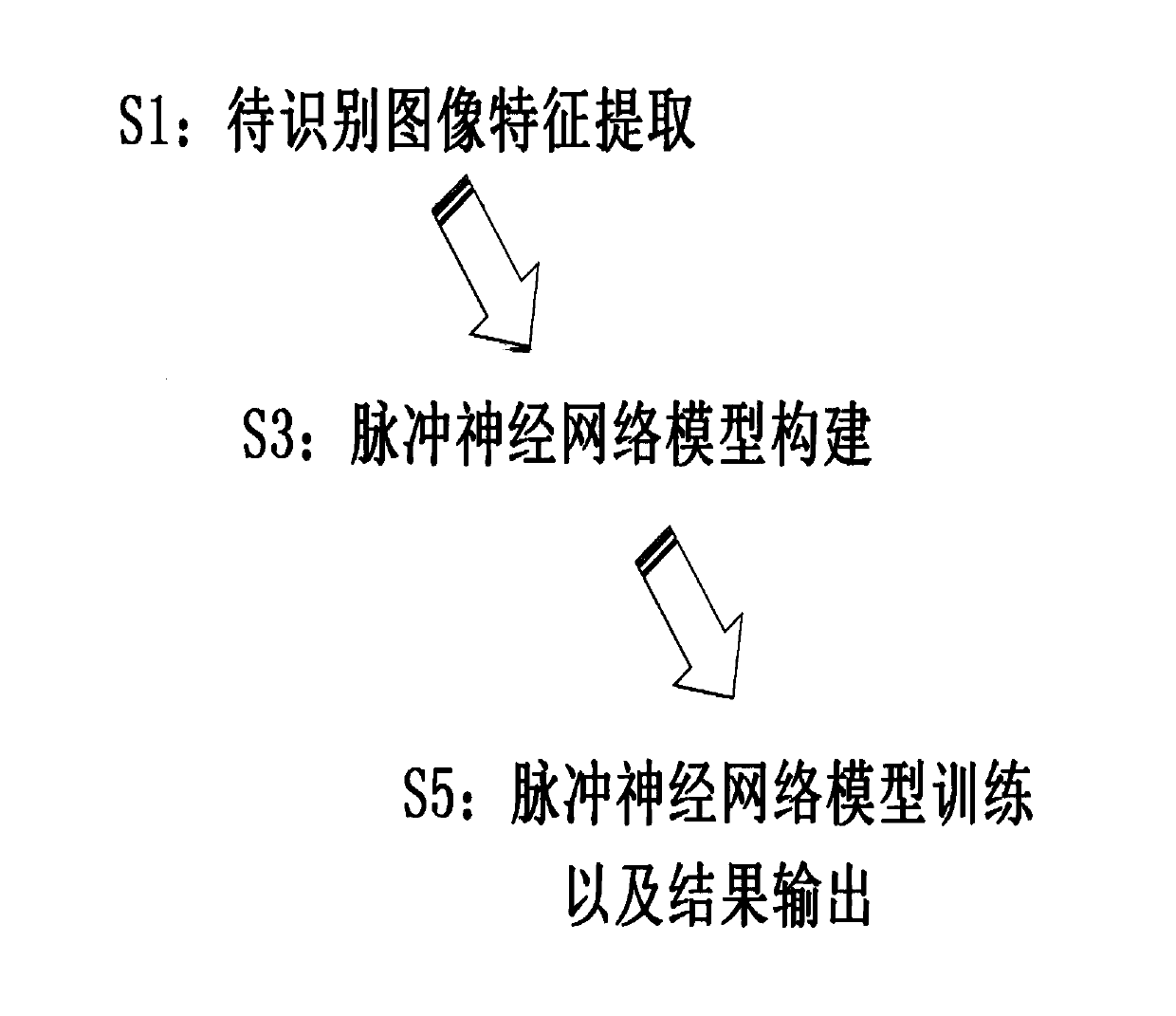 Facial age recognition system and method based on spiking neural network