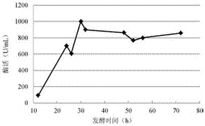 Construction method of recombinant bacillus subtilis of high-yield pullulanase