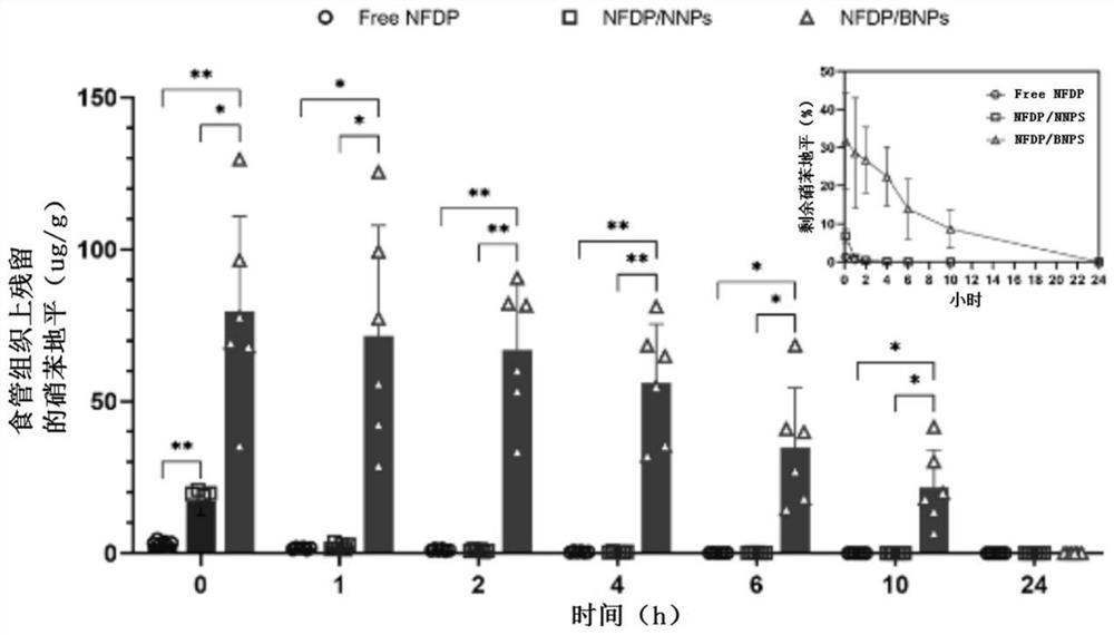 Bioadhesive nanoparticle for treating gastrointestinal diseases and preparation method of bioadhesive nanoparticle