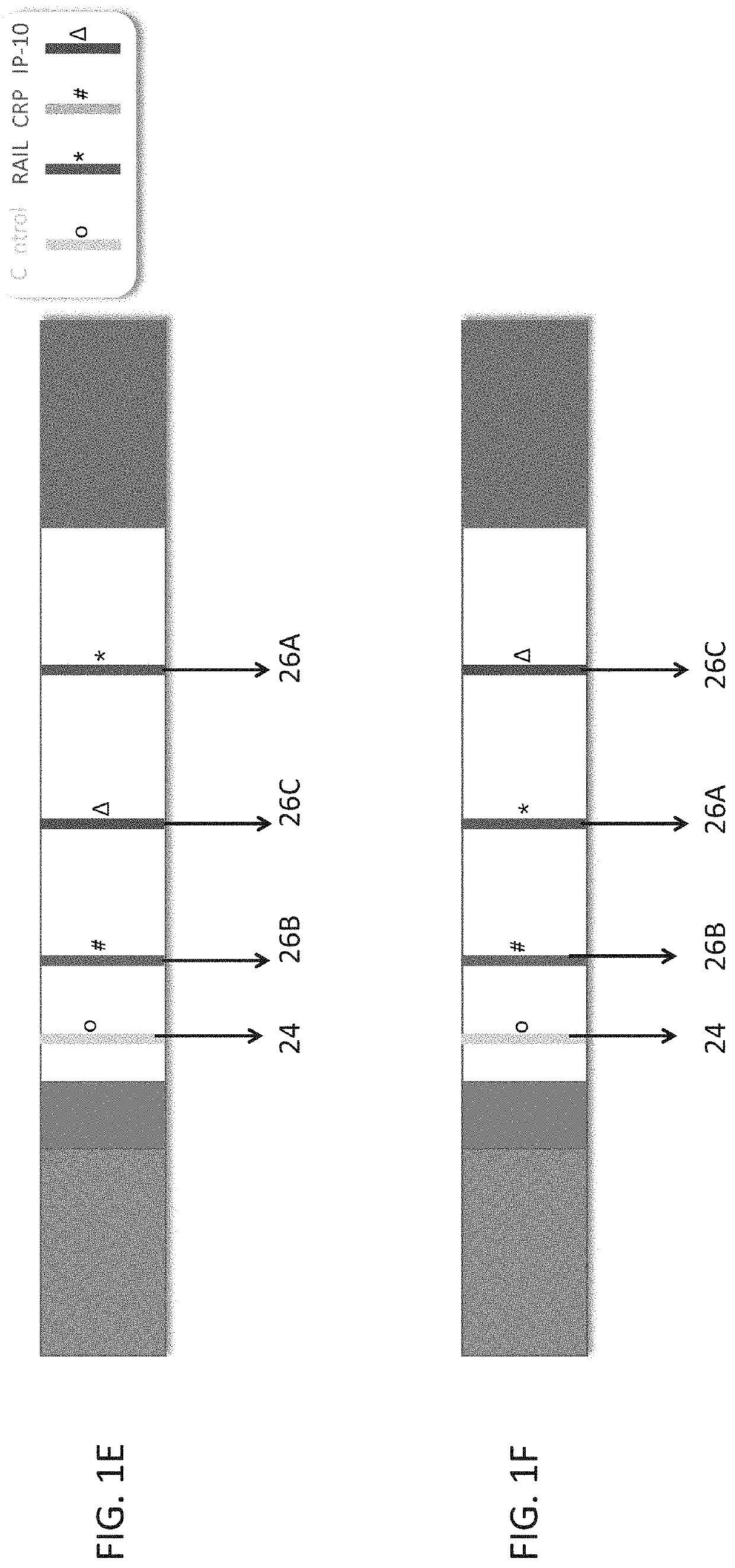 Measuring trail by lateral flow immunoassay