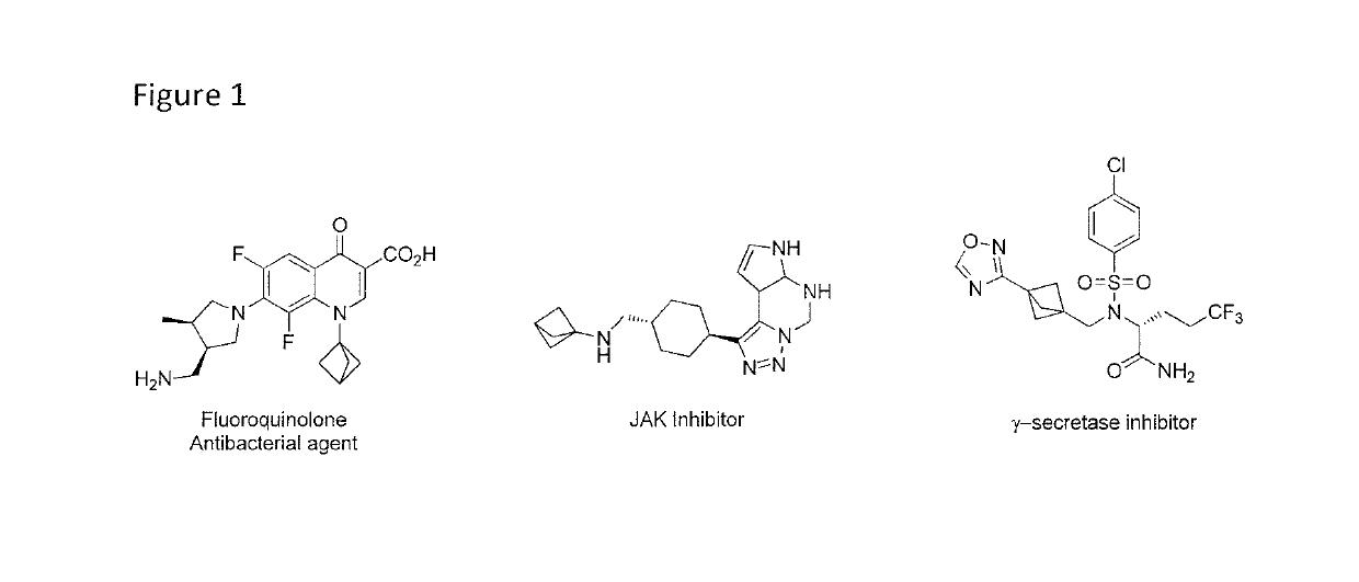 Method of preparing substituted bicyclo[1.1.1] pentanes