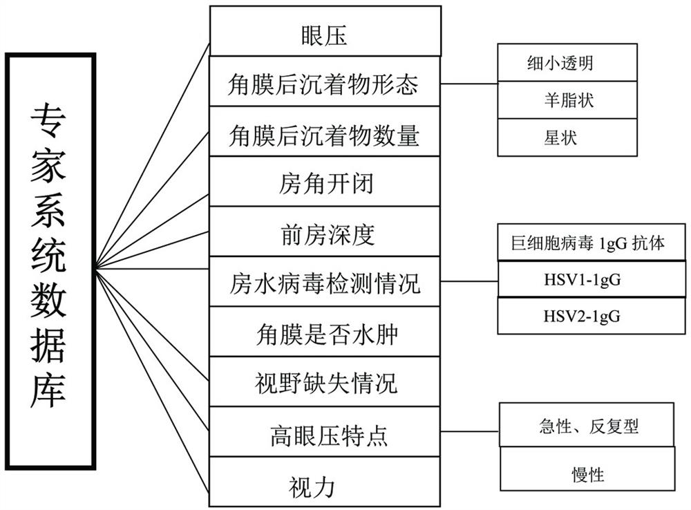 Portable glaucoma ciliary body syndrome diagnosis and treatment instrument