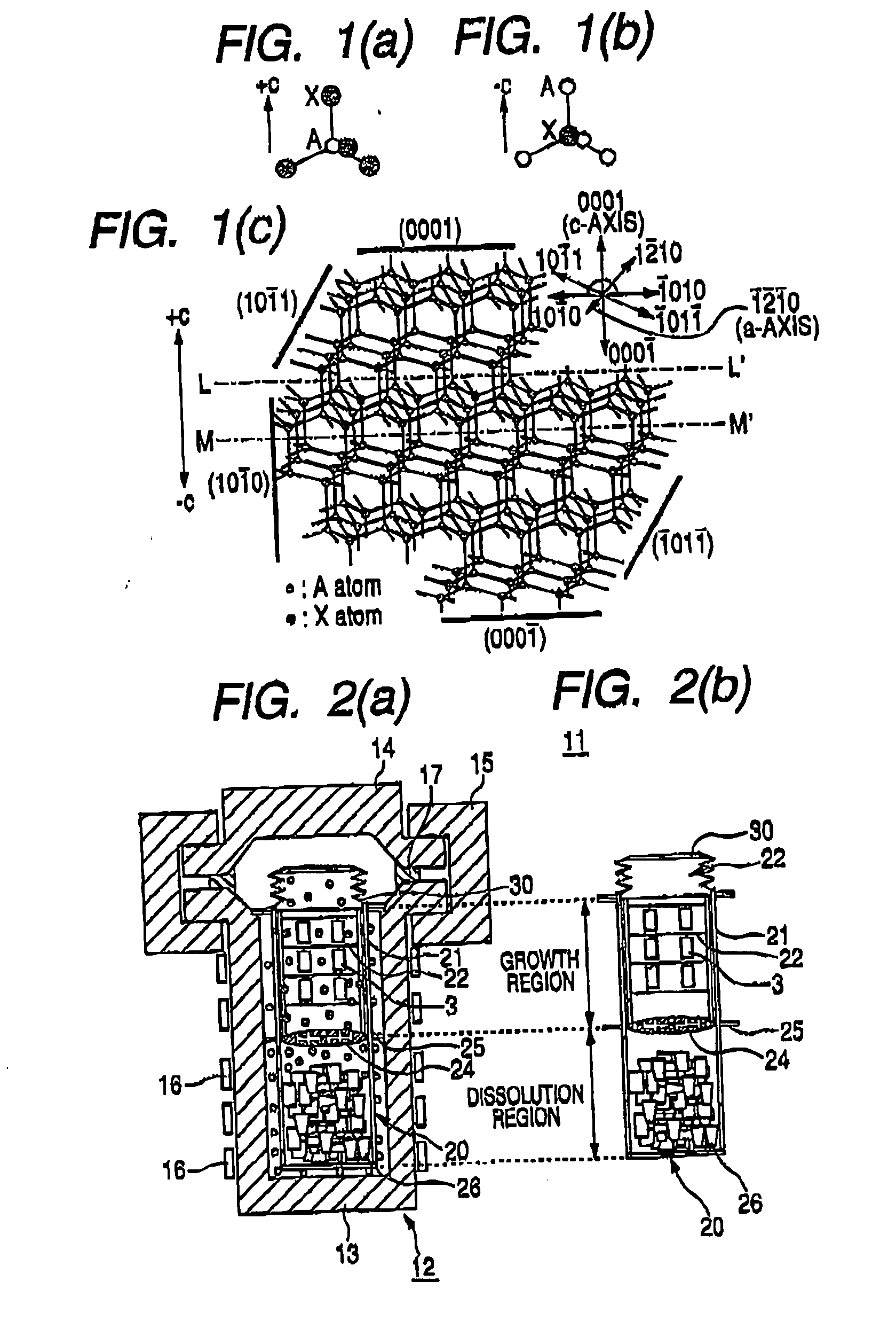 Hexagonal Wurtzite Type Single Crystal, Process For Producing The Same, And Hexagonal Wurtzite Type Single Crystal Substrate