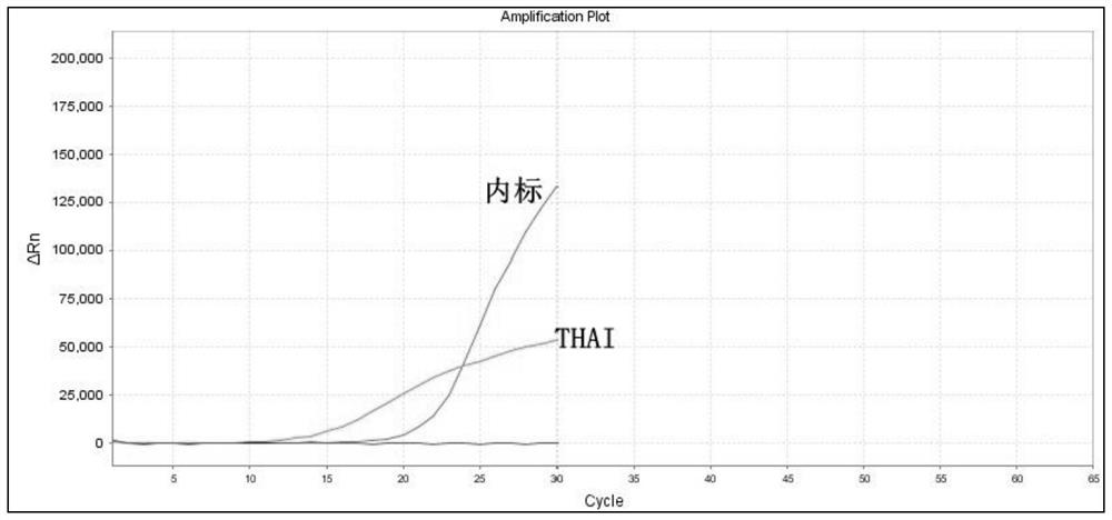 Deletion-type alpha-thalassemia detection kit based on Taqman probe and detection method of deletion-type alpha-thalassemia detection kit