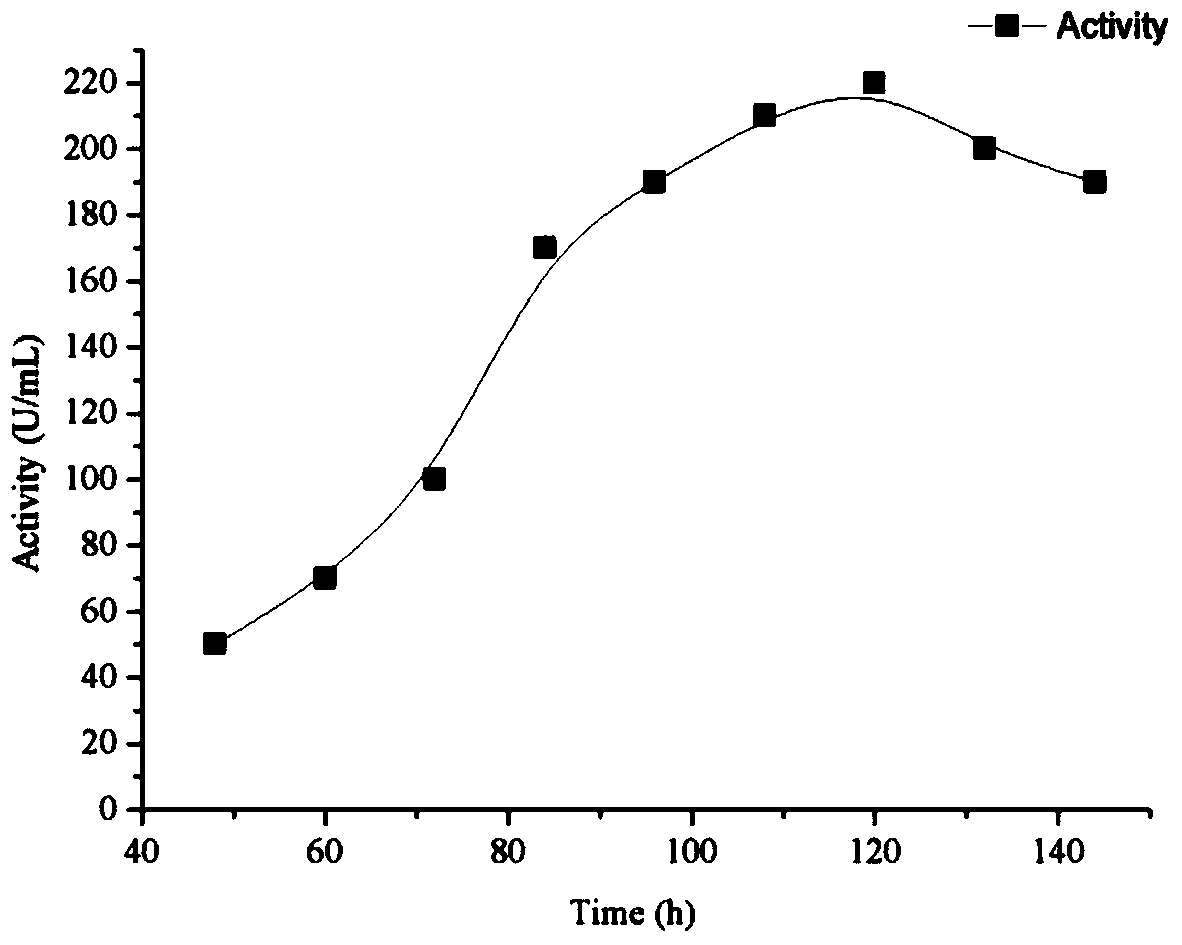 Kluyveromyces lactis eukaryotic expression method of streptomyces murinus AMP deaminase gene