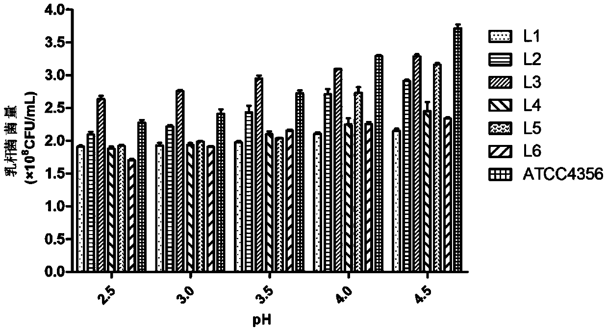 Lactobacillus salivarius and pharmaceutical application thereof