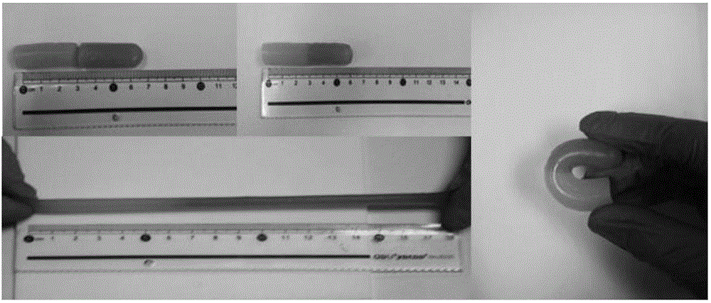 Preparation method of bi-physically-crosslinked self-repairing hydrogel