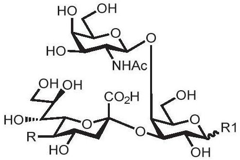 Enzymatic modules and Sda carbohydrate antigen synthesis method