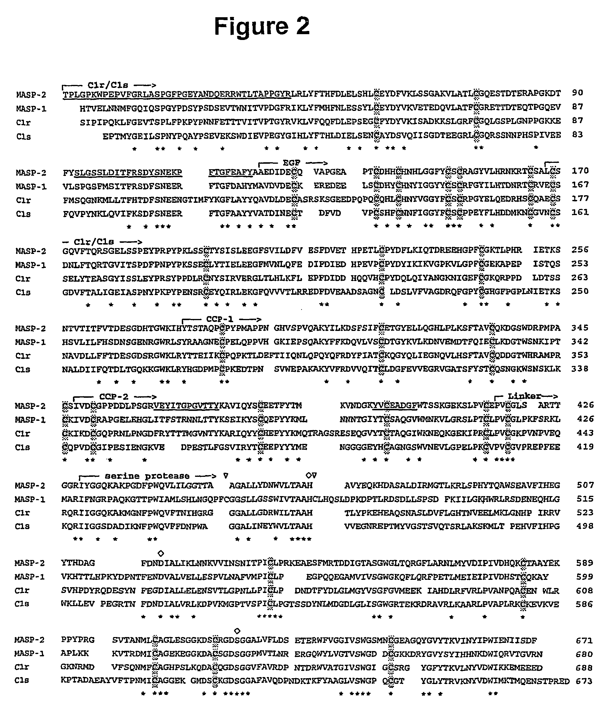 Masp-2, a complement-fixing enzyme, and uses for it