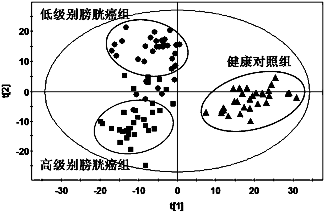 A diagnostic marker for bladder cancer and its application and diagnostic kit