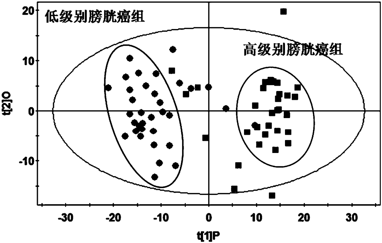 A diagnostic marker for bladder cancer and its application and diagnostic kit