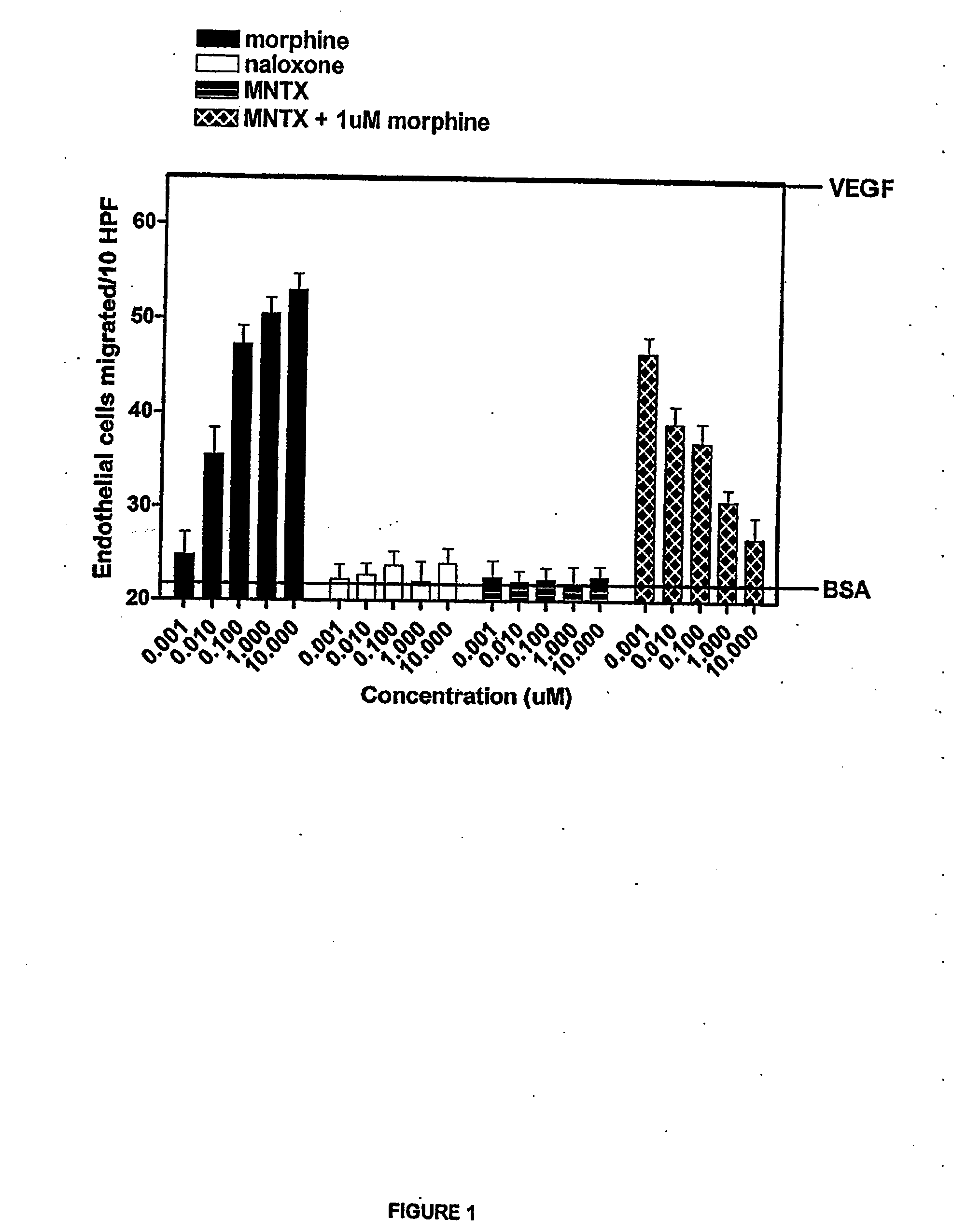 Use of opioid antagonists to attenuate endothelial cell proliferation and migration