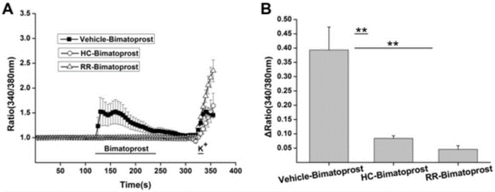 Use of bimatoprost as TRPA1 channel agonist in drug preparation