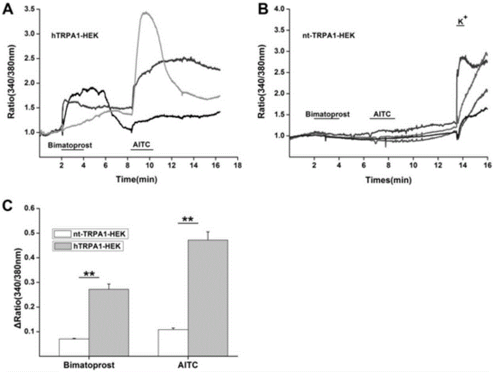 Use of bimatoprost as TRPA1 channel agonist in drug preparation