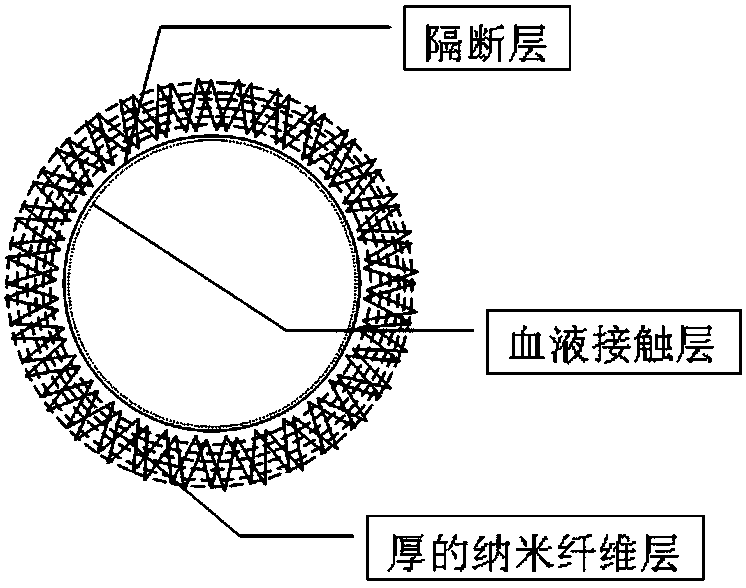 Preparation method and application of 3D printing artificial blood vessel