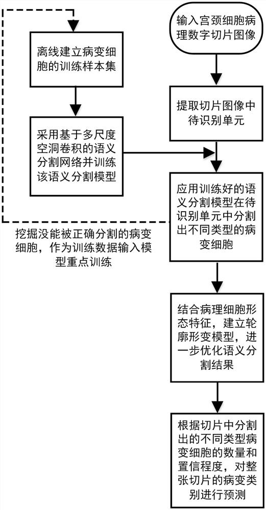 A method and system for segmenting diseased cells in cervical cytopathological slices