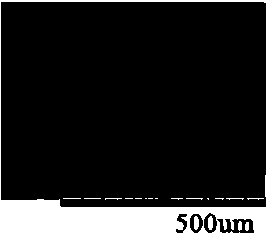 Preparation method of cefotaxime sodium spherical crystals