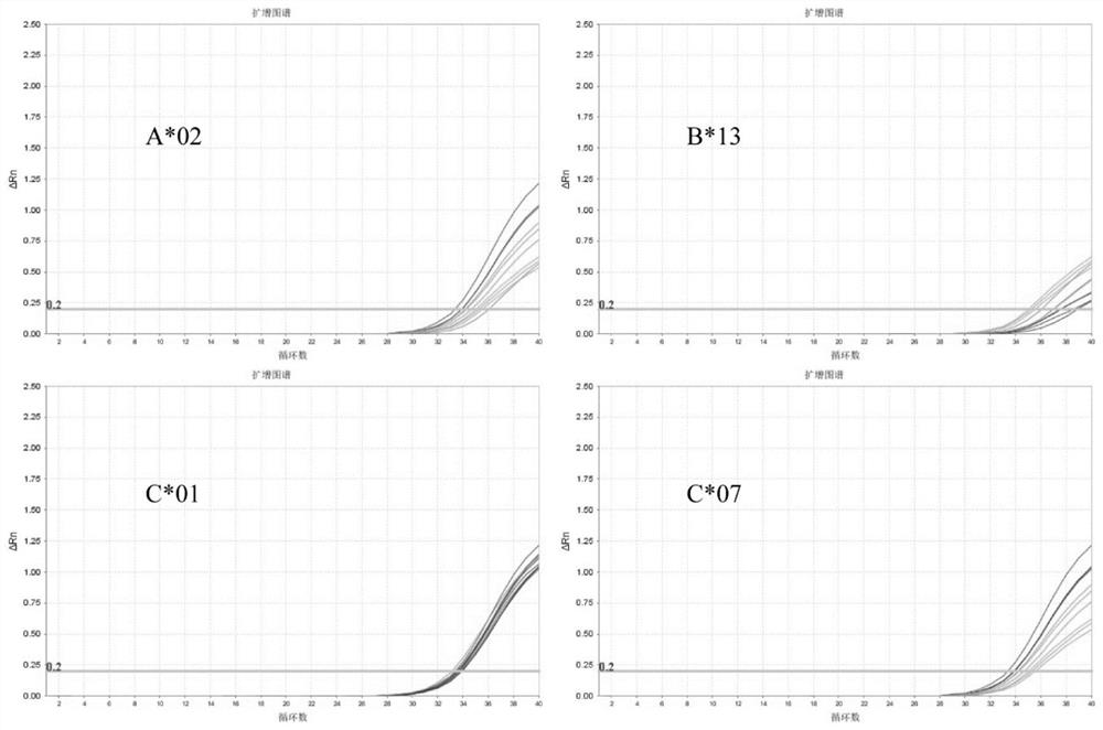 Primer, probe, kit and method for detecting HLA deletion type recurrence of patient