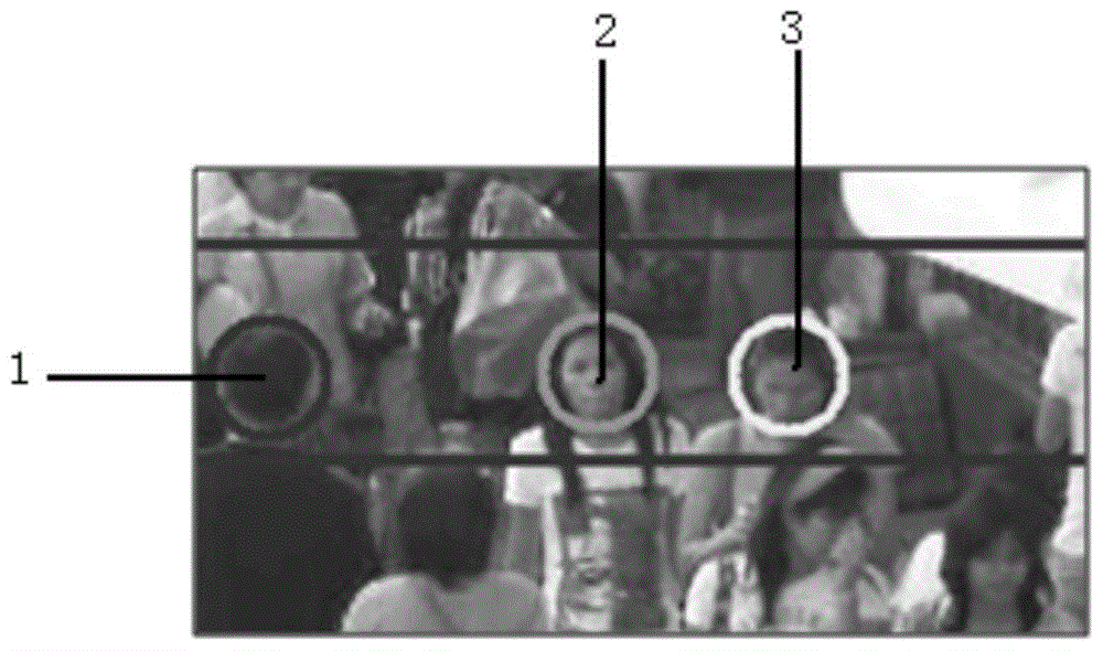 A High-Density Pedestrian Detection Method