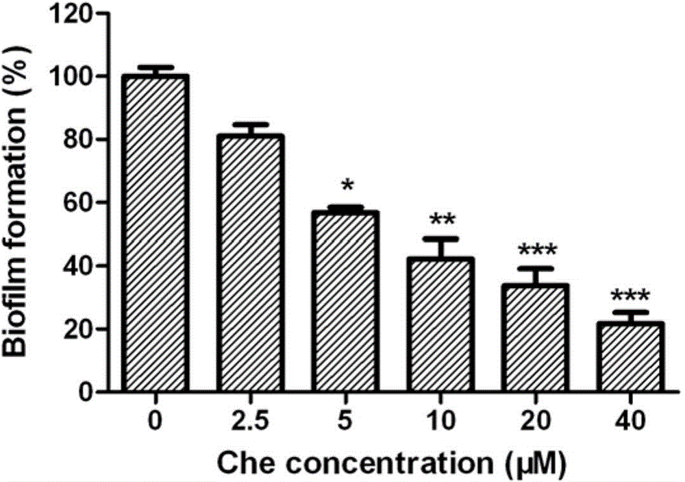 Application of chelerythrine in preparation of antifungal biofilm medicines