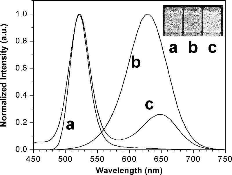 Double colour fluorescent chemical sensor used for visually detecting explosive and manufacturing method thereof