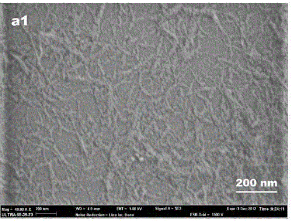 Method for preparing nano microcrystalline cellulose by hydrolyzing phyllostachys edulis fiber with cellulase