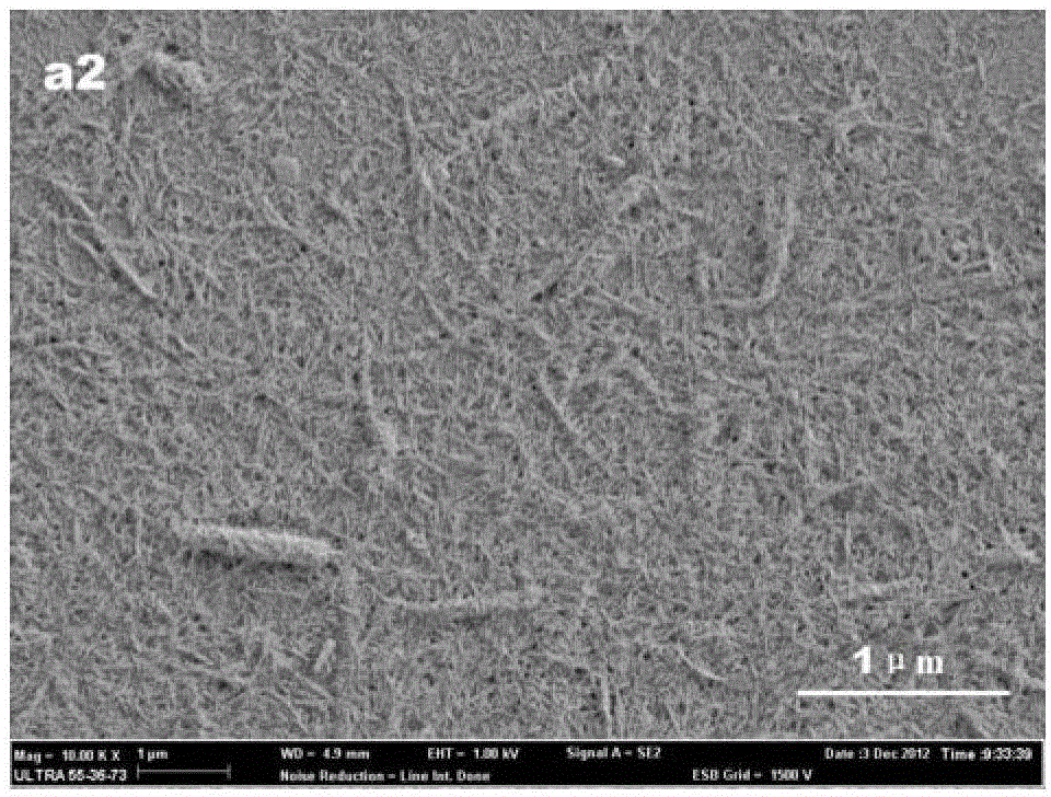 Method for preparing nano microcrystalline cellulose by hydrolyzing phyllostachys edulis fiber with cellulase