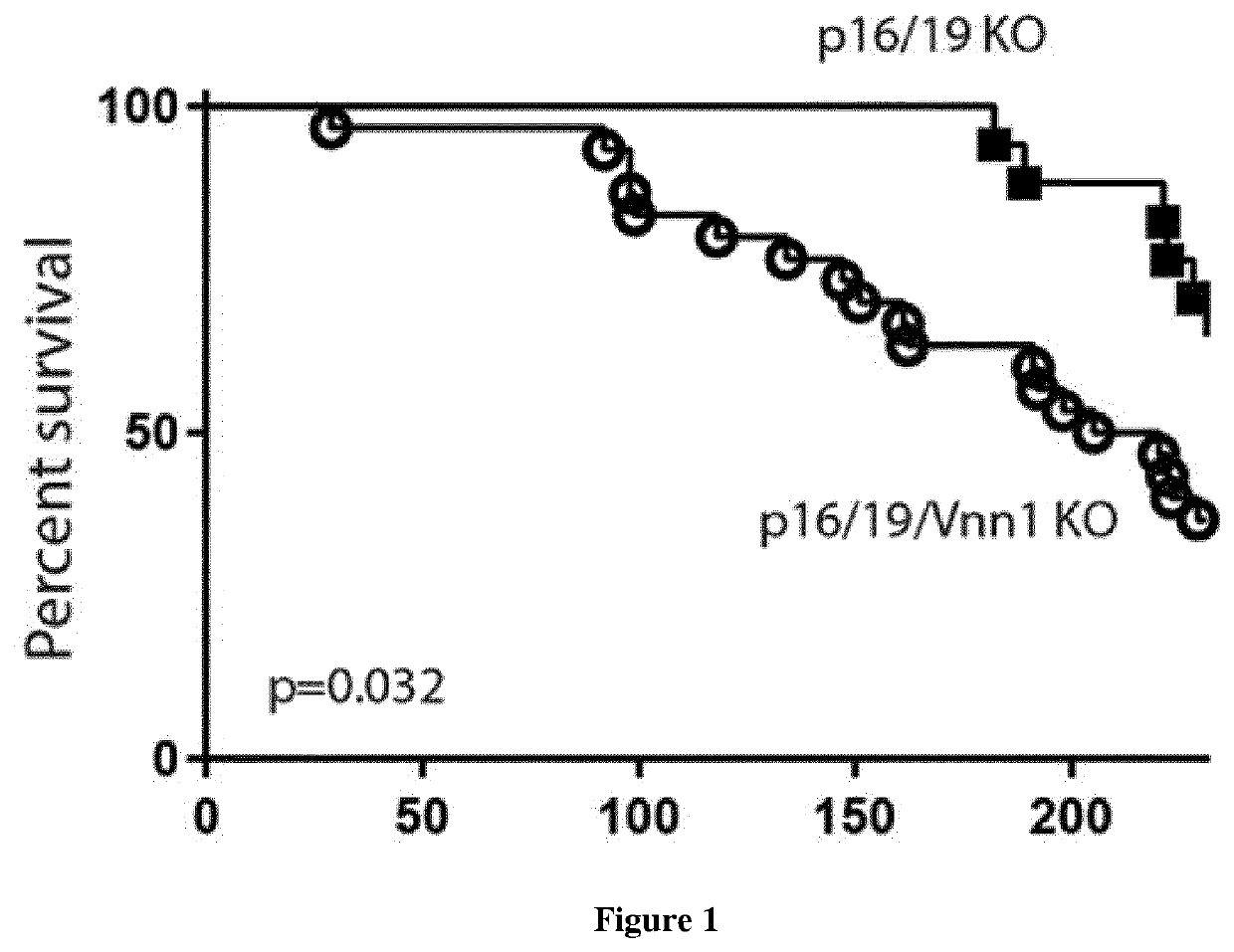 Use of vnn1 as a biomarker and a therapeutic target in sarcomas