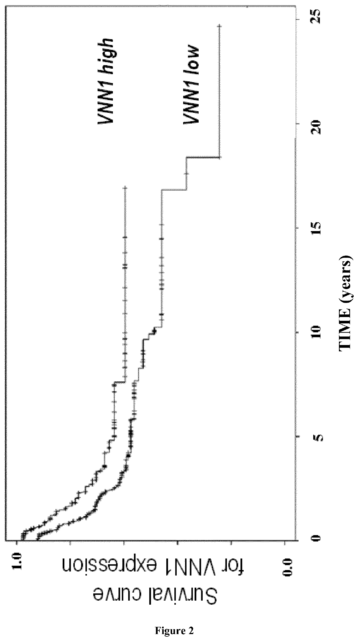 Use of vnn1 as a biomarker and a therapeutic target in sarcomas