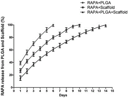 RAPA-PLGA scaffold